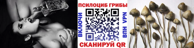 Галлюциногенные грибы MAGIC MUSHROOMS  Николаевск 